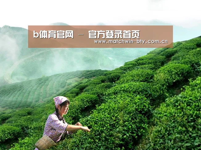 b体育官网 - 官方登录首页