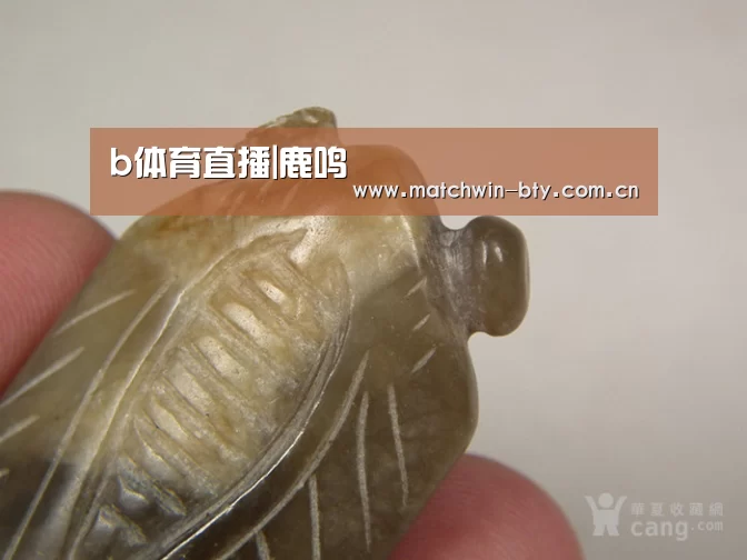 b体育直播|鹿鸣(图3) b体育官网
